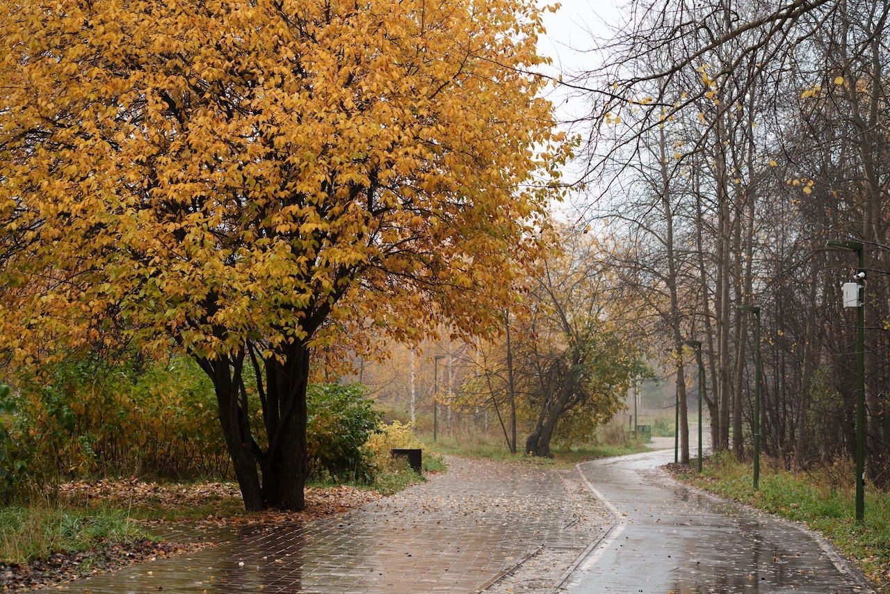 Фото: Валера Копылов